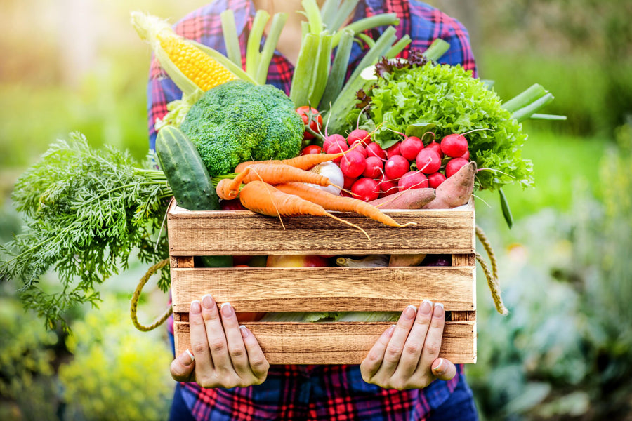 GEMÜSEGLÜCK Herbst – Pflanze trifft Genuss – Soulfood zum Genießen