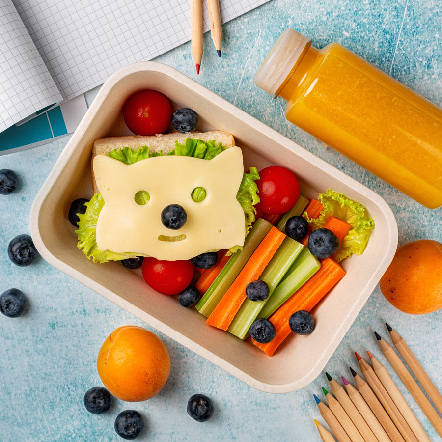 FAMILIENKÜCHE - Snacks für die Schule | Ein Brotdosen-Guide