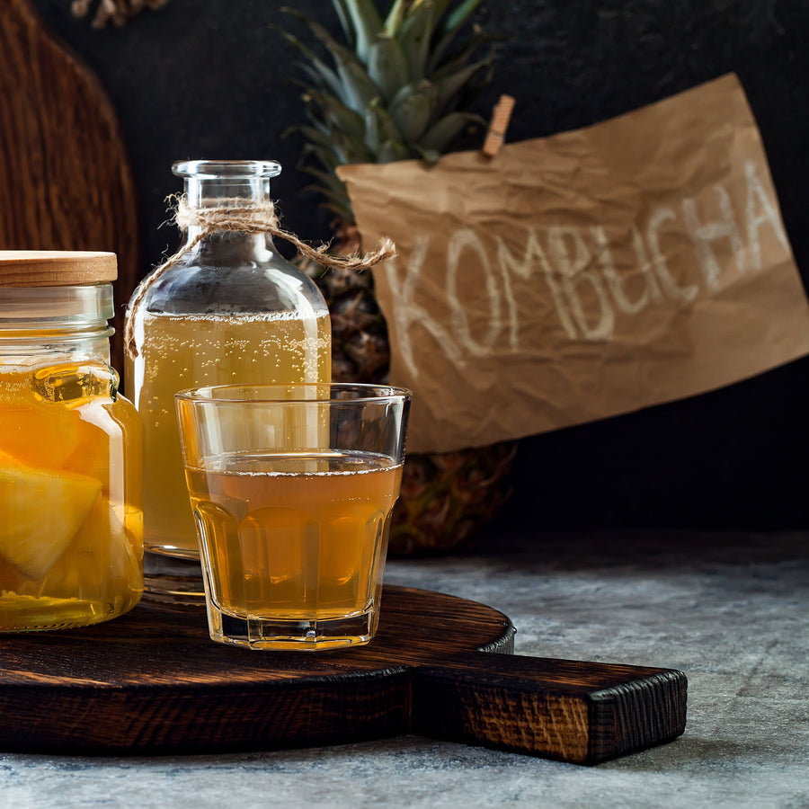 KÜCHENGESPRÄCH - Fermentation | Kombucha & Wasserkefir Workshop