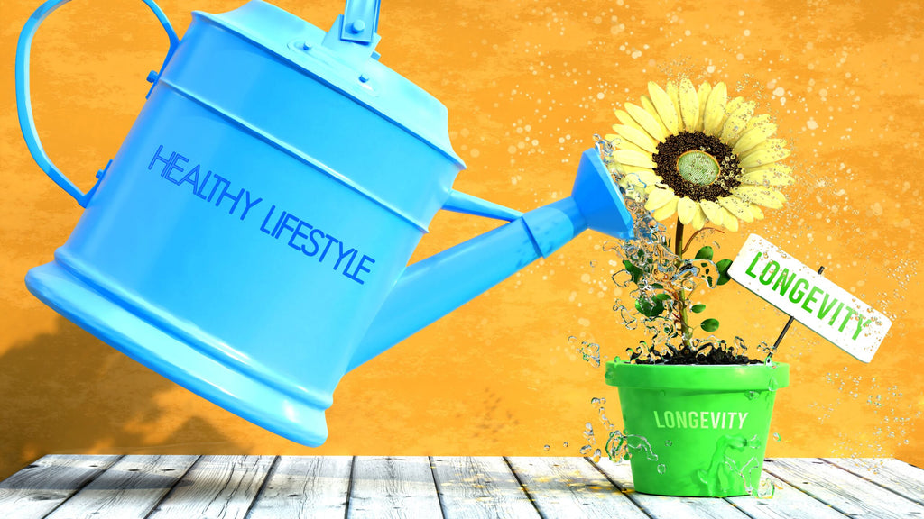 Illustration einer blauen Gießkanne mit der Aufschrift ‚Healthy Lifestyle‘, die eine gelbe Sonnenblume in einem grünen Blumentopf mit der Aufschrift ‚Longevity‘ gießt. Hintergrund in kräftigem Orange
